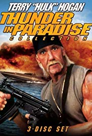 Watch Full Movie :Thunder in Paradise (1993)