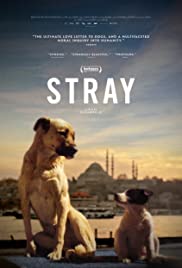 Watch Free Stray (2020)