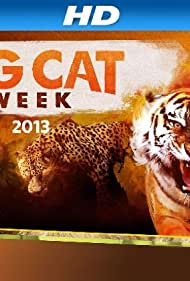 Watch Full Movie :Big Cat Games (2015)