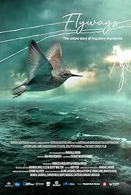 Watch Full Movie :Flyways the untold journey of migratory shorebirds (2023)