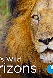 Watch Full Movie :Africas Wild Horizons (2015 2016)