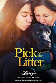 Watch Free Pick of the Litter (2018)